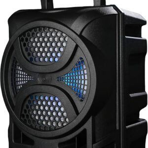 Alivio Portable Dual 6.5" Wireless Bluetooth Speaker with Mic, FM Radio, USB & AUX (Black)