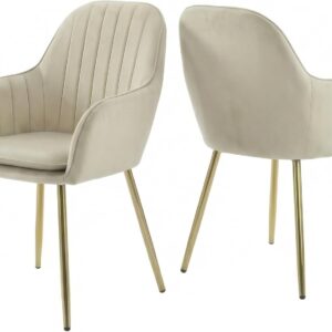 Alivio Set of 2 Upholstered Dining Chairs, Velvet Accent Arm Chair with Removable Seat Cushion & Metal Legs, Modern Curved Chairs for Dining Room, Living Room, Bedroom